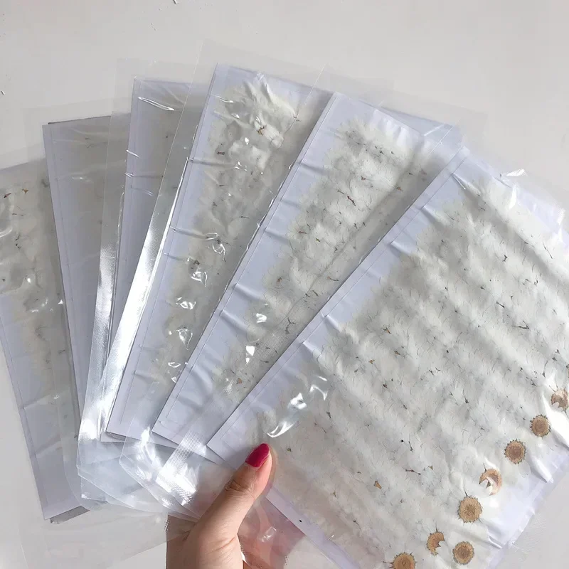 60X Pressed Dried Natural Whit - Dried Flower Bookmark recension och pris
