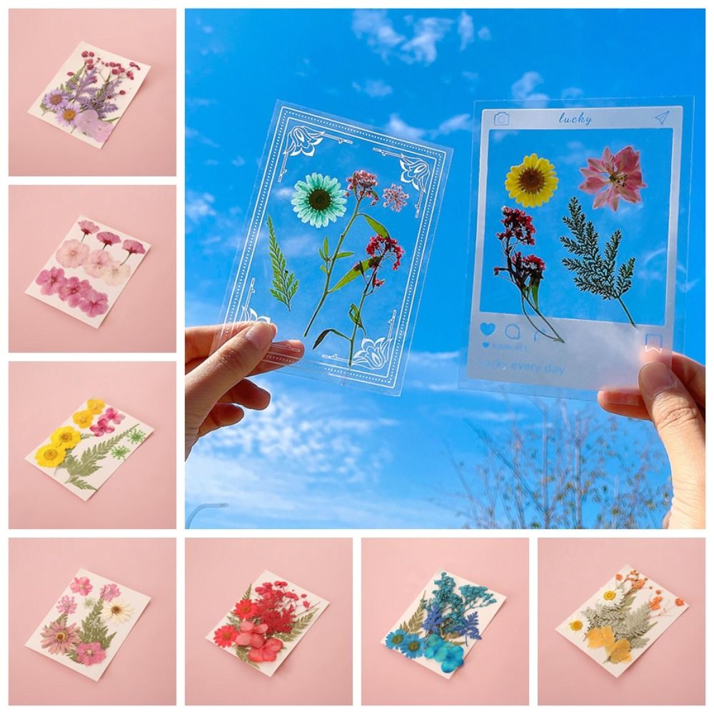 DIY Materials DIY Dried Flower - Dried Flower Bookmark recension och pris