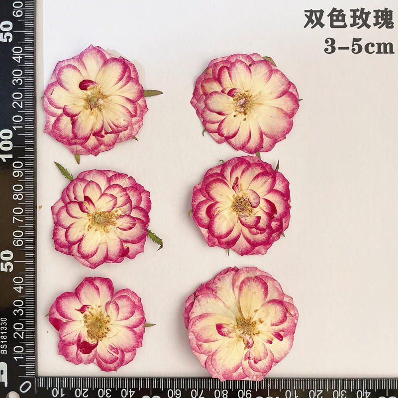 60pcs Pressed Dried Red Yellow - Dried Flower Bookmark recension och pris