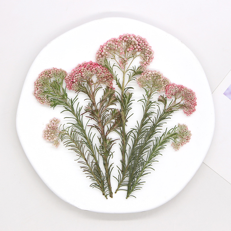 12pcs, Nature Millet Flower Br - Dried Flower Bookmark recension och pris