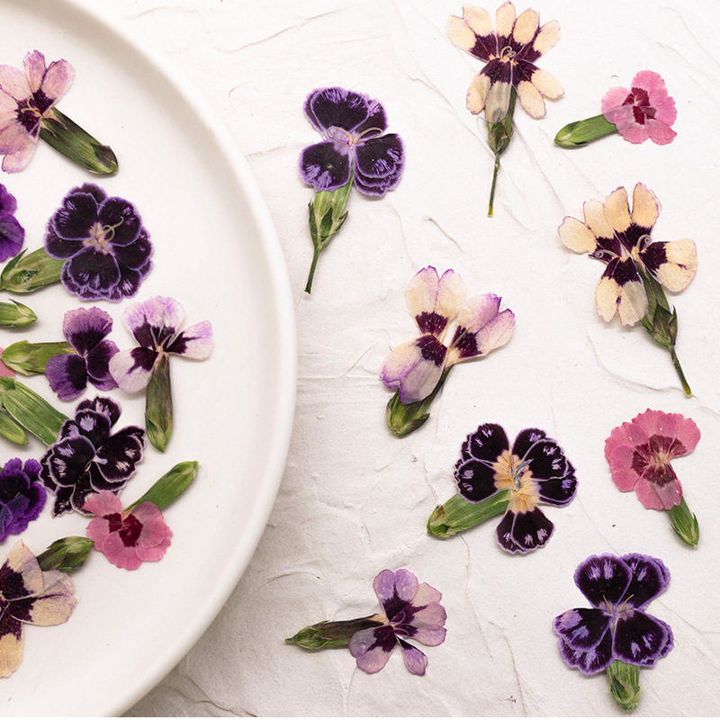 24pcs,Pressed Dried Dianthus F - Dried Flower Bookmark recension och pris